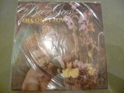 Vinyl 7''   Bee Gees '' the only love ''