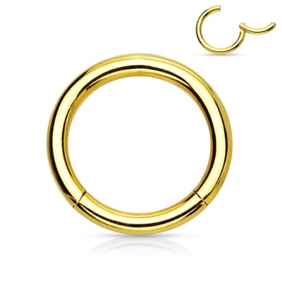 Segment Hinged Captive Lip Ring 16 Gauge 3/8'' Gold IP SET of 2