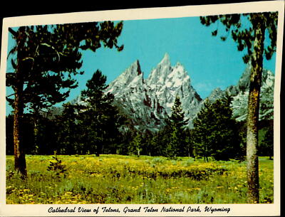 CE8607 cathedral view of tetons grand teton nat l park wyoming usa