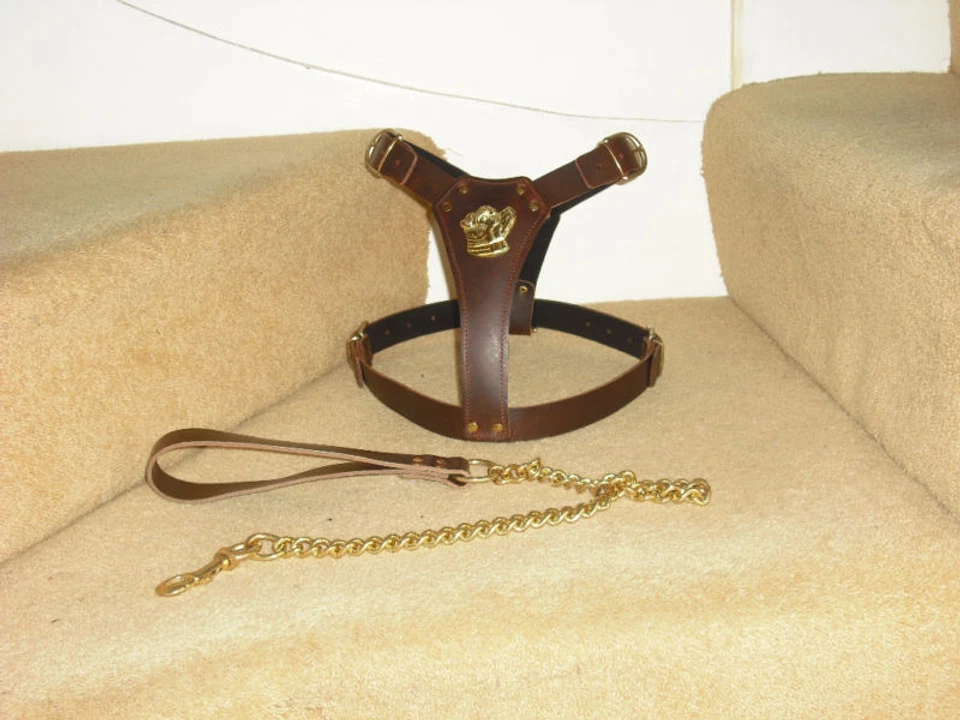 BROWN PADDED LEATHER DOG HARNESS FOR STAFFY WITH LEAD - Image 2 of 4