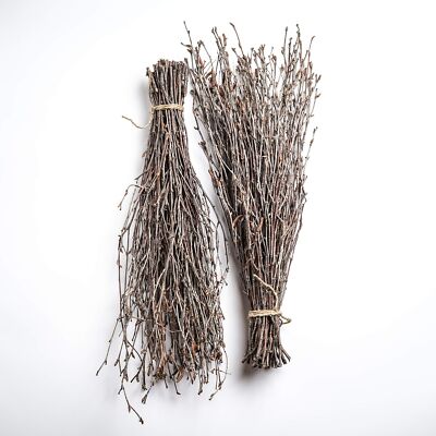 100 pcs Birch Twigs for vase decoration. Set of 2 Bundles of Branches 100% na...