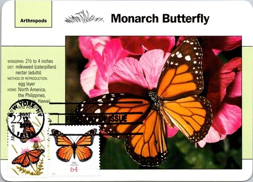 Dr Jim Stamps Maximum Card Monarch Butterflys Forever 64C Combo Fdc