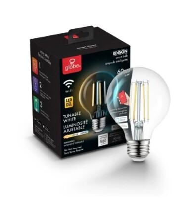 Globe Electric 34920 Single 5.5 Watt Vintage Edison G25 Medium - Clear