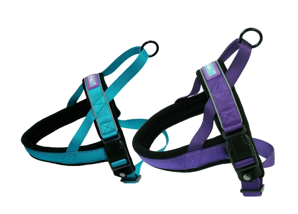 Dog and co store harness