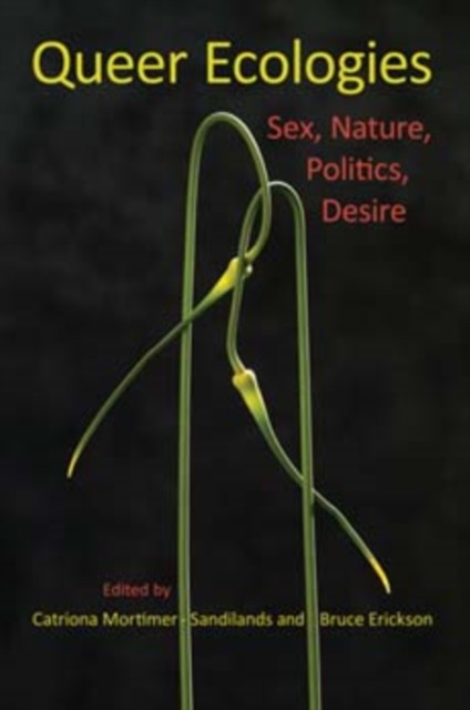 Queer Ecologies Sex, Nature, Politics, Desire by Bruce Erickson (Paperback Book)