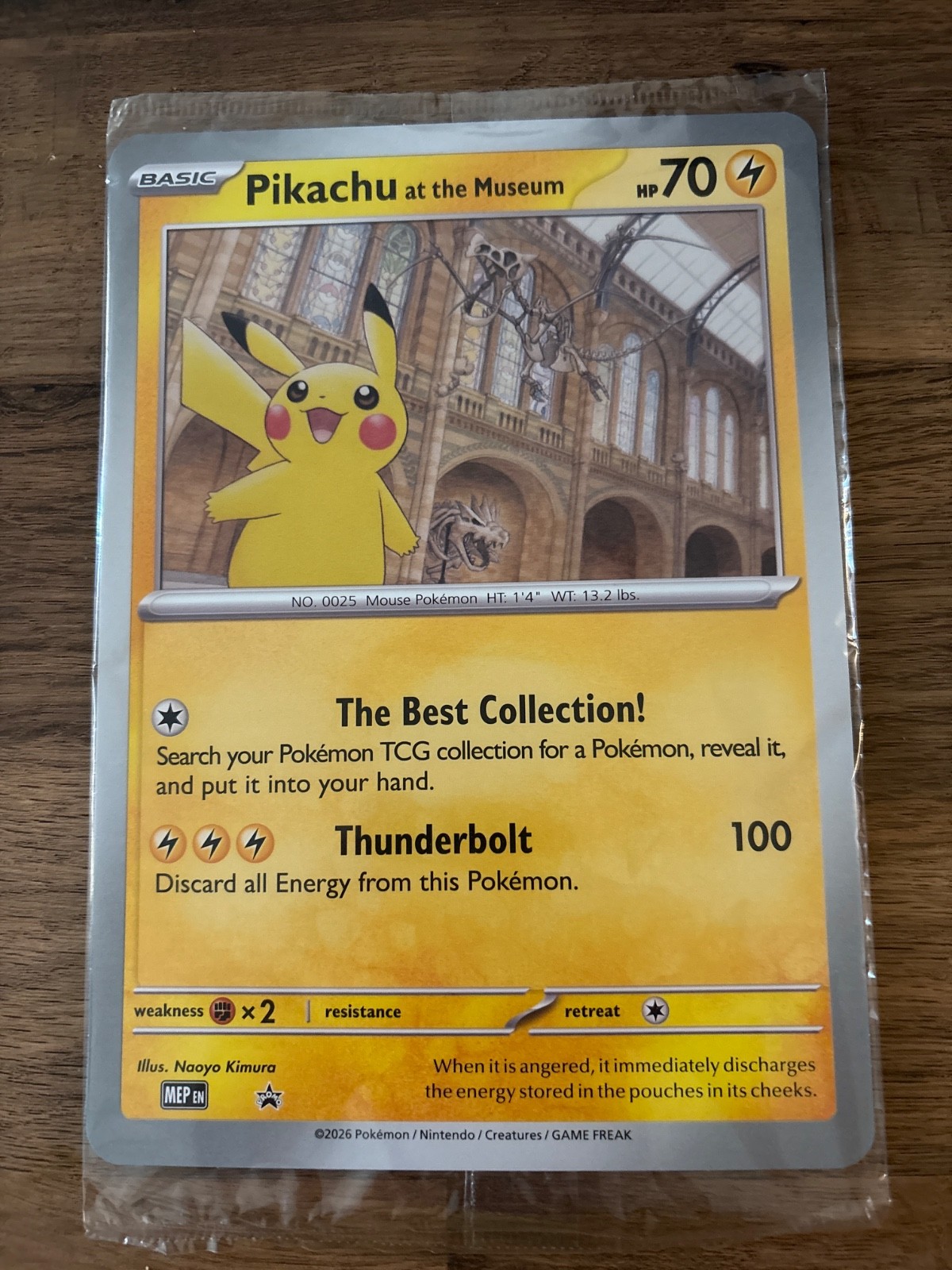 Pikachu at the Museum Jumbo Cards Regular