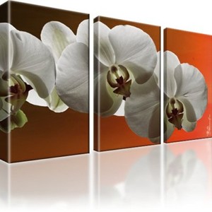 Orchidee Blume Bild 3 Teilig Bilder Leinwand Wandbild Kunstdruck Ebay