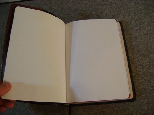 Premium Slimline Reference Bible NLT, Large Print, TuTone VERY NICE COND. - Imagen 12 de 23