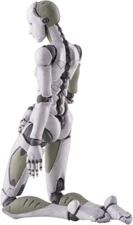 1/12 Toa Heavy Industries synthetic human (female type) Tertiary production