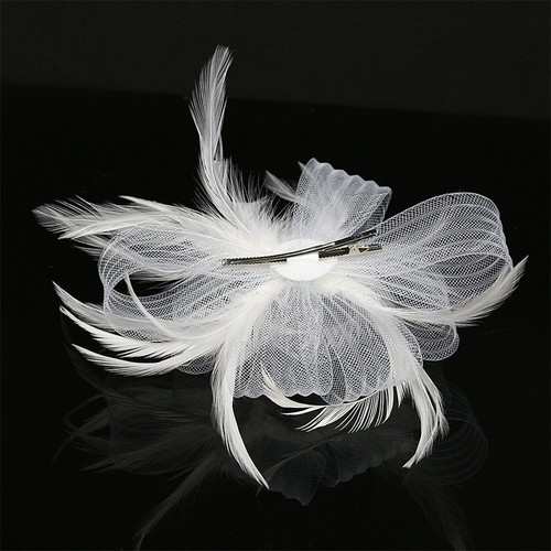 DRESHOW Women's Hair Fascinators Chapeau Nuptiale Plumes Cheveux Clip Accessoires Cocktail Royal Ascot