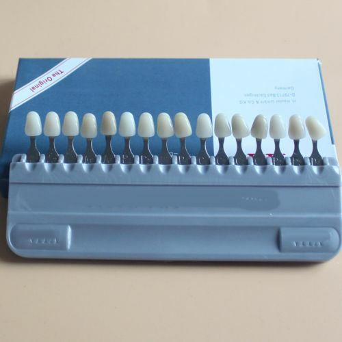 NEW 5 Sets Porcelain Teeth Denture Oral Dental 16 Color Shade Guide RE