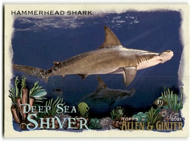 2021 Topps Allen & Ginter #DSS-6 Hammerhead Shark Deep Sea Shiver
