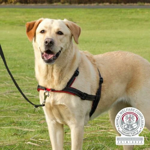 Harnais Trixie pour chien
