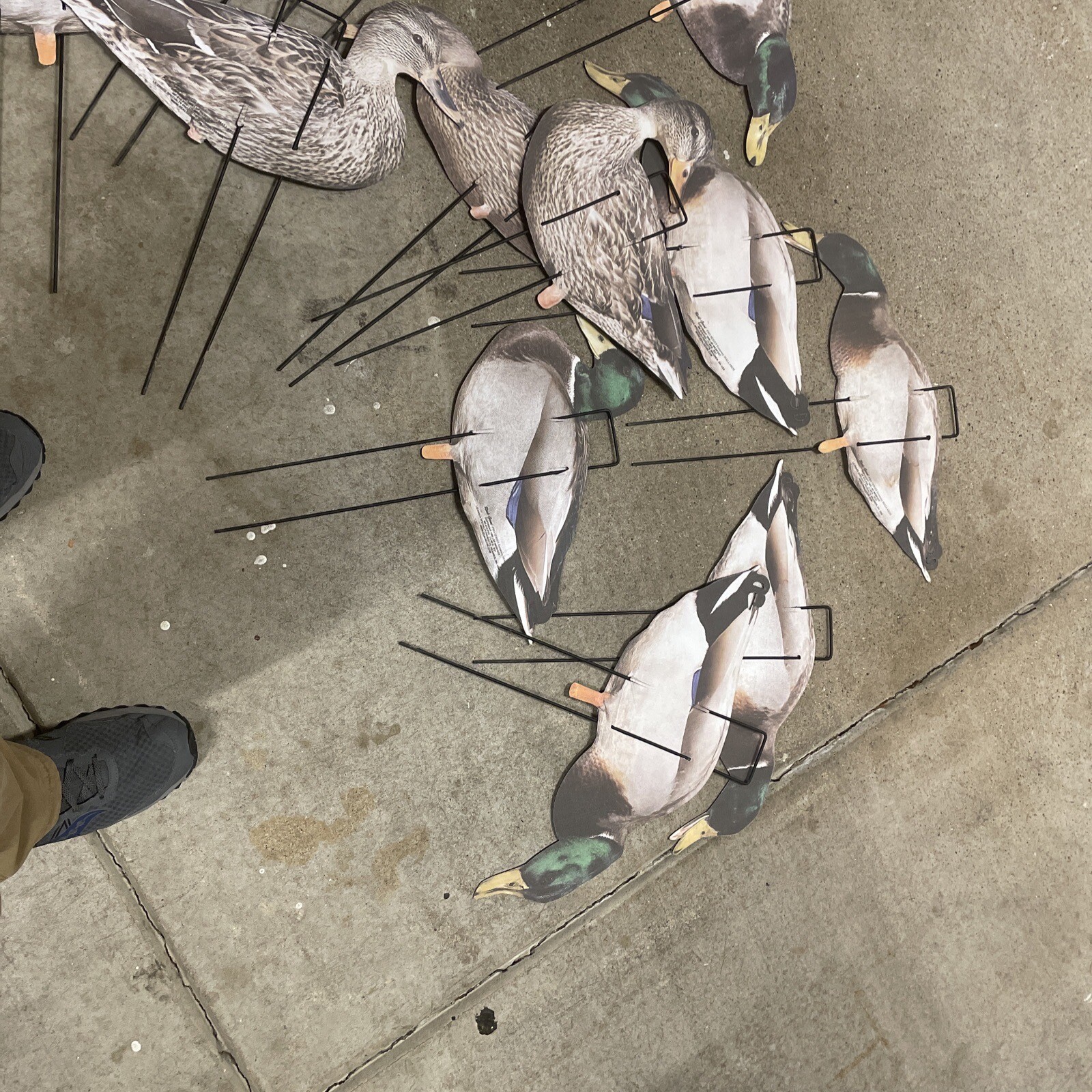 Real Geese Mallard Silhouette Decoys Dozen eBay