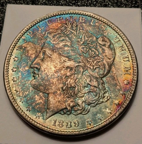 1889 Morgan Dollar. Uncirculated. Ms. Beautiful Toner!