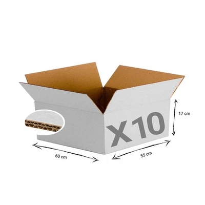 10 X Weiße Verstärkte Kartonbox Mit Doppelwelle 600 X 550 X 170 Mm - Bild 1 von 4