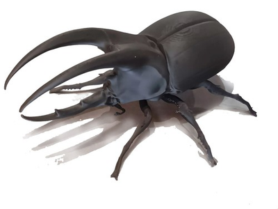 #ad Rhino Beetle Male Figure 3d Printed PLA Model Kit 6 3 4 Inch $37.00