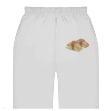 'Salmon Nigiri Topped with Ikura' Adult Sweatpants / Joggers (JO053053)