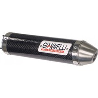Auspuffanlage Giannelli Endtopf Carbon Mit Abe FüR Generic