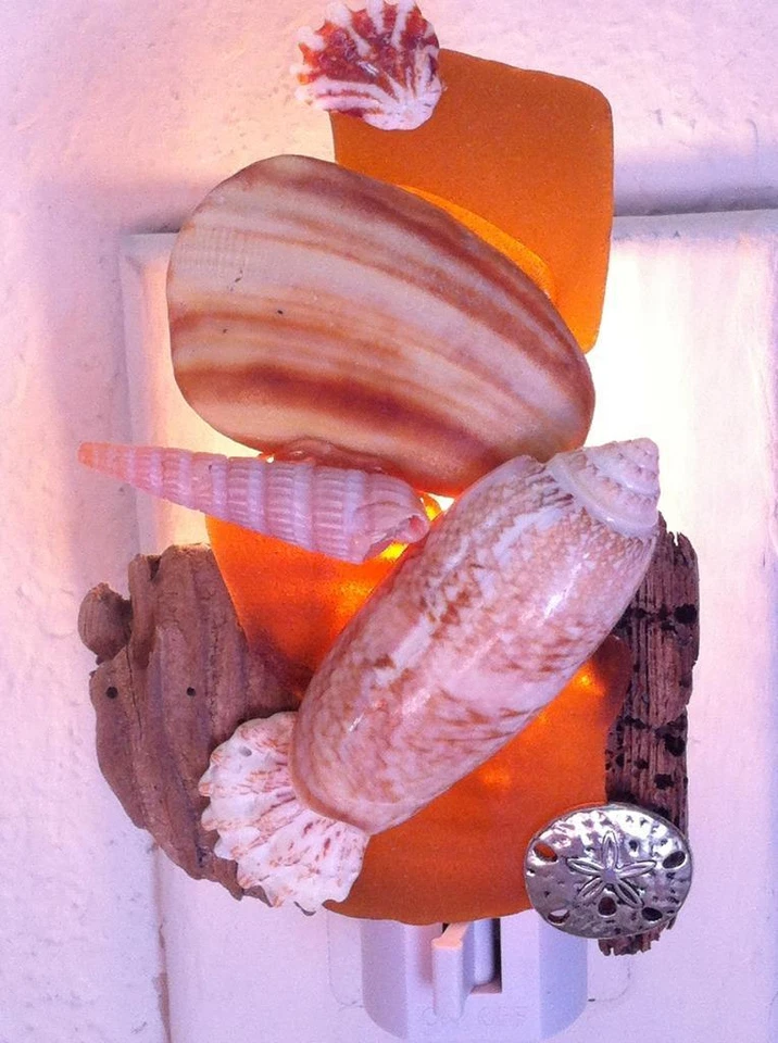 Seashell Luz Nocturna LED Bombilla No Reemplazable Playa Casa Foto 3 de 4