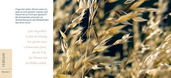 Thumbnail - Du Bist Ein Geschenk Für Die Welt