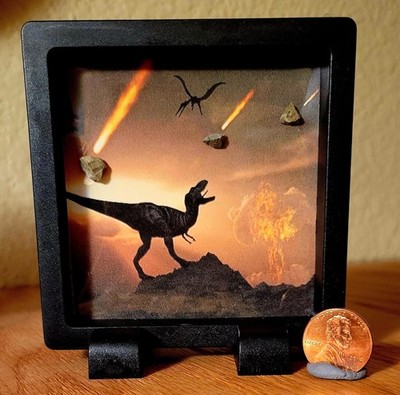 Dinosaur Extinction Display, KT Boundary Layer Rocks With Authenticity Card