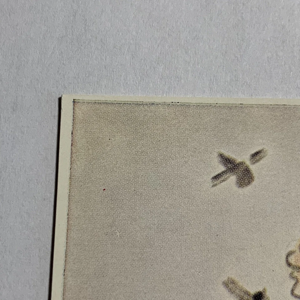 CARTÃO POSTAL LITOGRÁFICO HUMMEL #5437 MENINA COM FLORES EM VASO, MEIAS ALTAS - Imagem 3 de 4