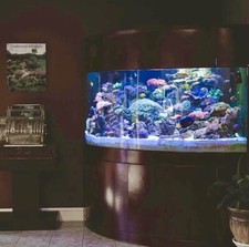 440 Gallon Corner 1/4 Cylinder GLASS Aquarium Real Wood Furniture Overflow