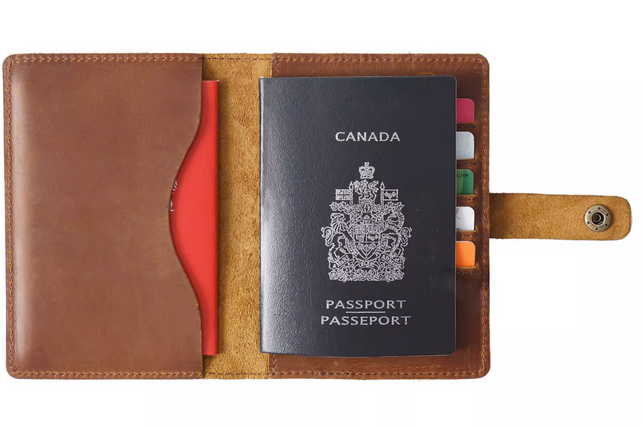 Cow Leather Bifold Passport Holder Wallet Card Pouch Brown H722-image