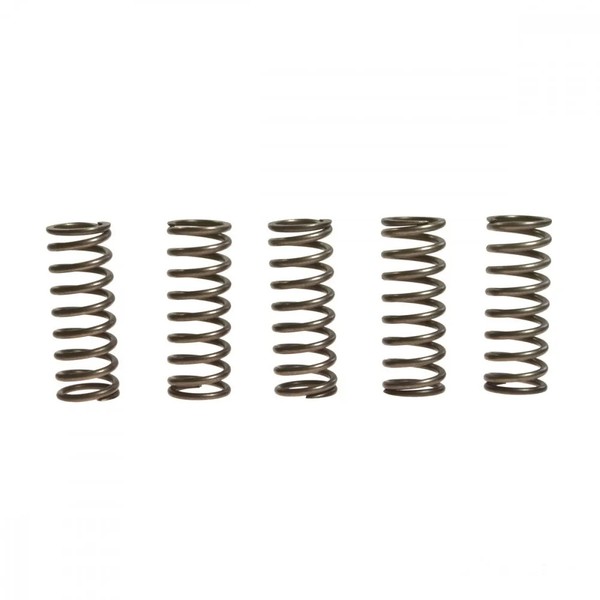Kupplungsfeder VerstäRkt (5Stk) EBC CSK156 FüR Suzuki GSX-R 600 U3 Bj. 2004-2005-image