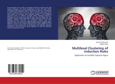 Amine Chemchem (u. a.) | Multilevel Clustering of Induction Rules | Taschenbuch