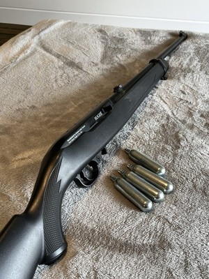 Ruger 10/22 Air Rifle - .177 Caliber Pellet CO2 Powered