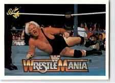 1990 Classic WWF The History of Wrestlemania #90 Bobby 