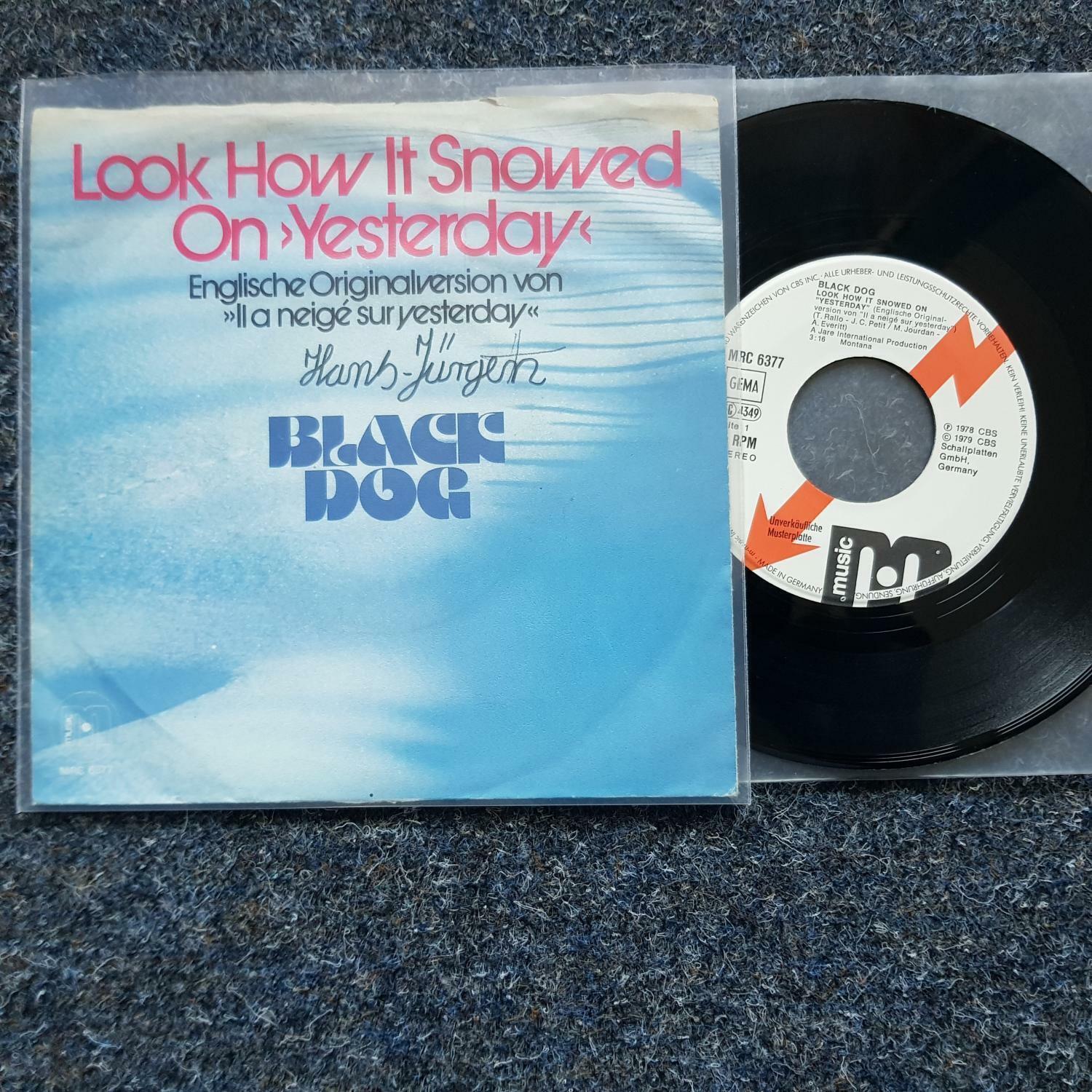 7"" Single Vinyl Black Dog - Look how it snowed on yesterday Germany PROMO