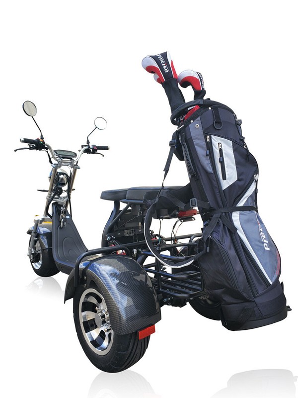 NEW 2000W Electric 3 Wheel Scooter Trike Style Golf Cart Mobility Scooter CARBON