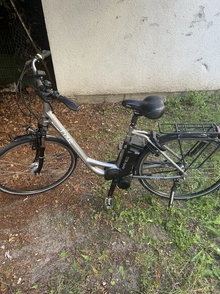 für RIXE Bordeaux XXL, LION E-Bike Akku 25V 24Ah online kaufen bei Netto