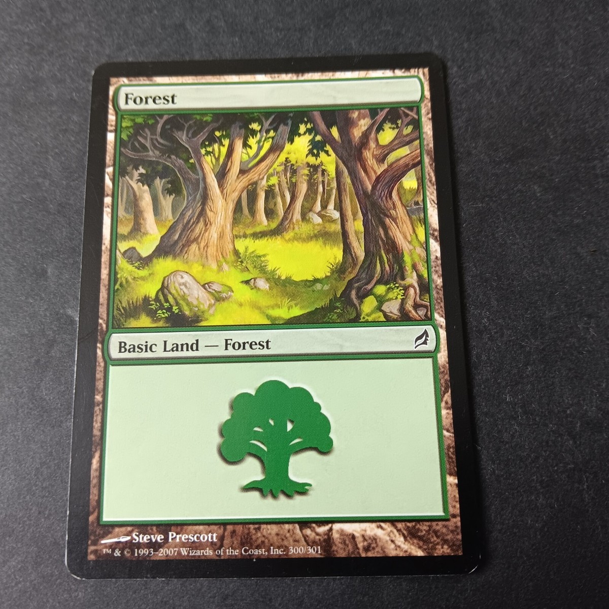 MTG Forest Lorwyn 300/301 Regular Land | eBay