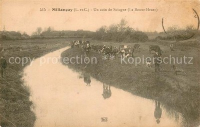 Millancay Un coin de Sologne La Bonne Heure