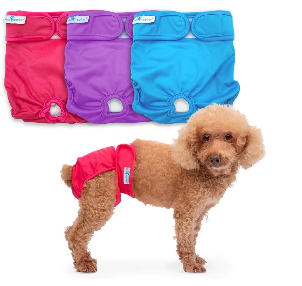 Paw Inspired Washable Dog Diapers (size med) Reusable Cloth Doggy Diapers for