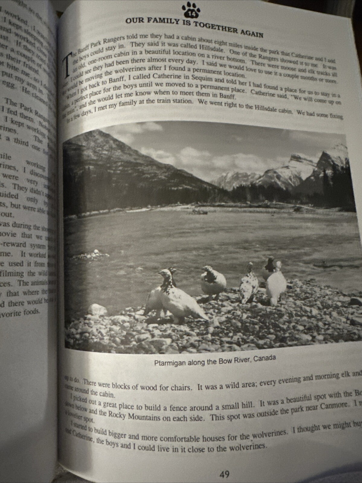 Picture 4 of 14