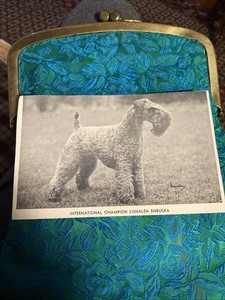 Kerry Blue Terrier Dog Vtg Postcard Champion Lisnalea Enbuska & Pedigre
