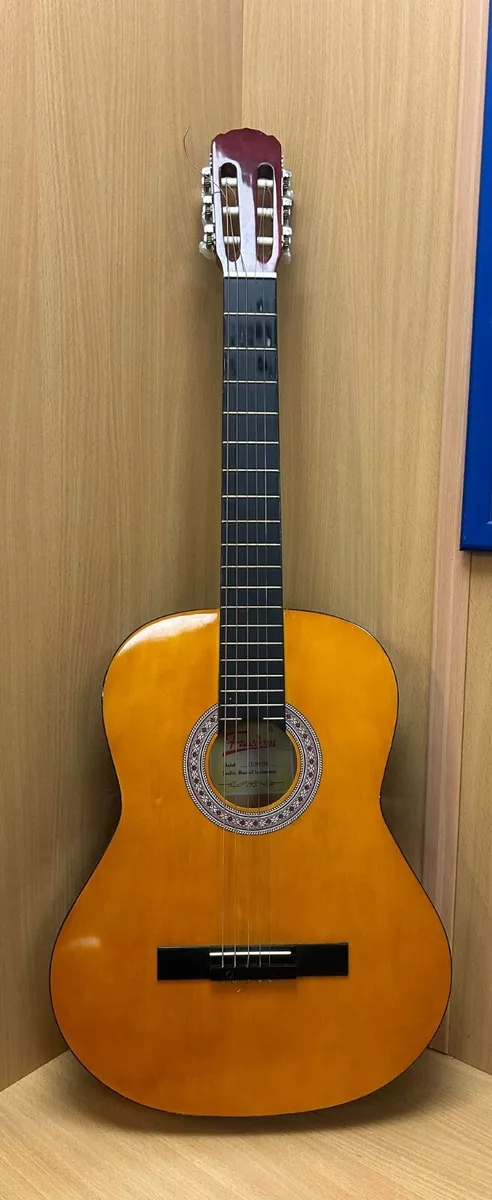 Freedom acoustic guitar on sale price