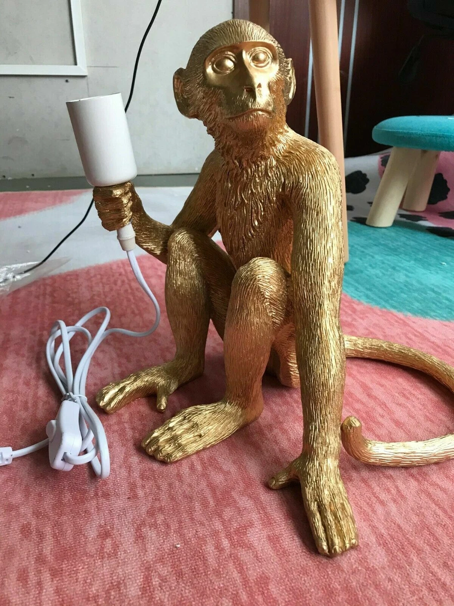 Monkey 2024 holding lamp