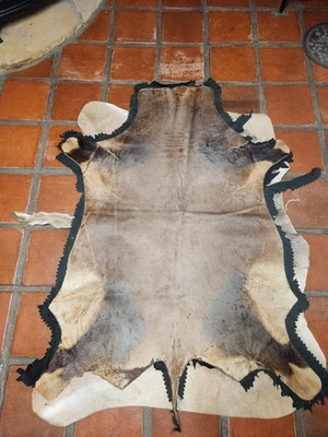 Vintage Red Hartebeest Hide Rug African Taxidermy Antelope Skin Felt Back 62''x44