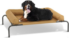 Outdoor Elevated Dog Bed with Removable Bolsters, 55 Inches Raised Dog Cot Washa