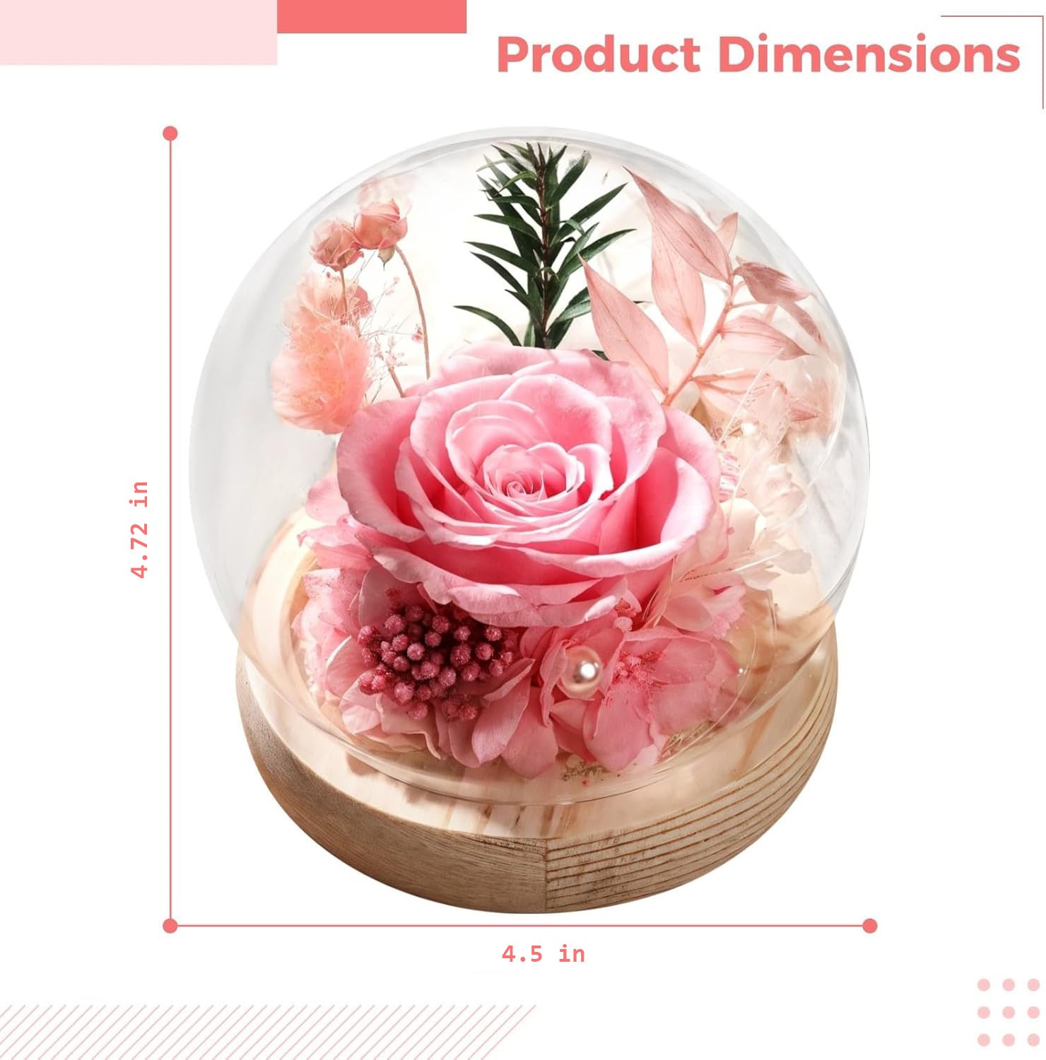 Preserved Real Rose in Glass Dome, Eternal Gift for Her Valentine's Anniversary