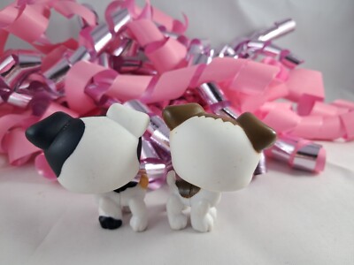 Littlest pet shop chien Jack Russel 804 + coussin