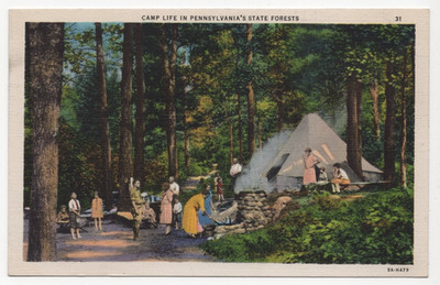 Camp Life Pennsylvania State Forests Linen Postcard Curt Teich 1935 Vintage