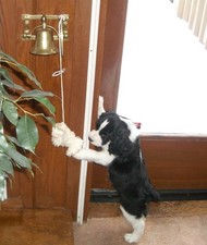Multi Use Vintage Solid Brass Ship's Bell - Great Look Sound