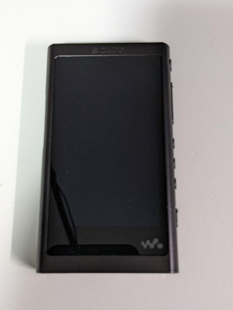 SONY Walkman A series NW-A55 Black Digital Audio Player | eBay